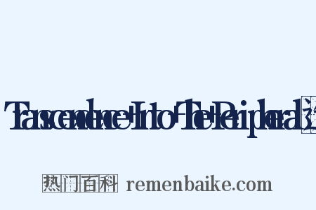 Transcendence+Into+The+Peripheral造句是什么意思的图片